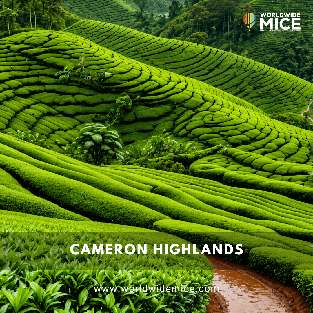 Cameron Highlands